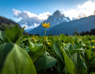 Solitary yellow flower amidst lush greenery, majestic mountains backdrop