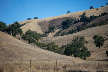 The Carmel Valley, California, as seen from a UAV Drone showing the smooth hills and Oak Groves