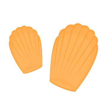 Illustration of traditional French Madeleines cookies with golden shell shape, classic sweet dessert for bakery design, culinary poster, menu decoration, and food education