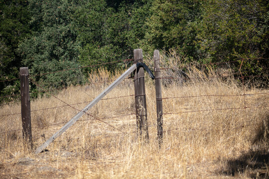 A Wire Fence to keep livestock safe. - Powered by Adobe