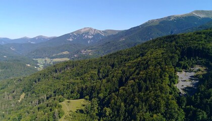 Forested mountain slope on clear summer day with mountain peak backdrop