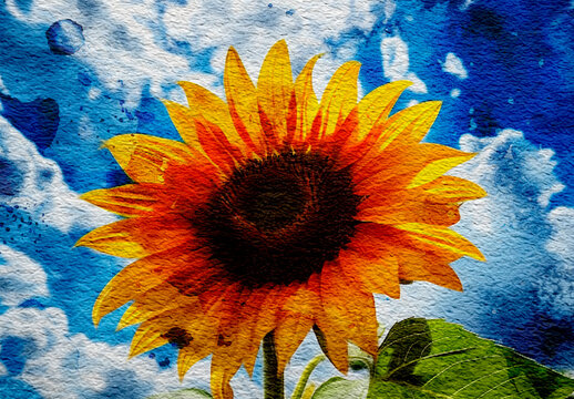 Blue And Yellow Watercolor Texture Photo Effect