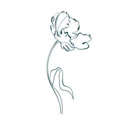 tulip flower line art isolated vector illustration