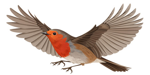 Obraz premium European Robin PNG – Realistic Flying Pose on Transparent Background
