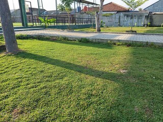 green garden in the park