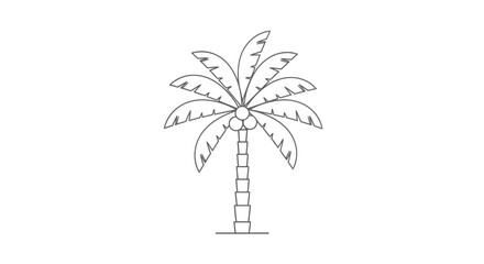 Line drawing of a palm tree with coconuts, showing the trunk and leaves in detail.