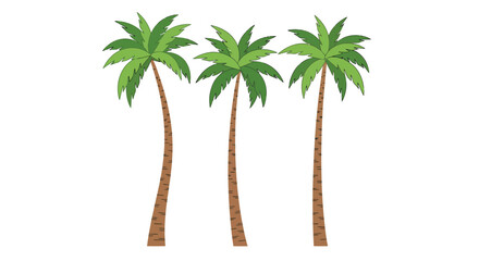 Three tall palm trees with green fronds against a white background.