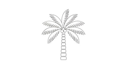 Obraz premium Detailed line art illustration of a tropical palm tree with coconuts, depicted in a simple, stylized black and white drawing.