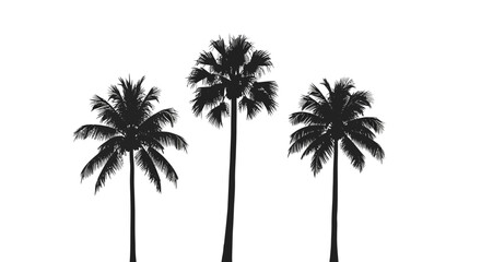 A striking silhouette of three palm trees against a stark white background, showcasing their distinctive fronds and tall, slender trunks.