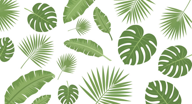 A vibrant pattern of various green tropical leaves including monstera and palm fronds scattered on a clean white background, evoking a lush jungle or summer feel.