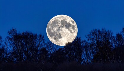 Full moon rising above silhouettes of trees