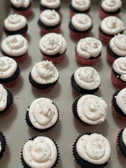 Rows of Mini Cupcakes