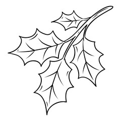 Holly branch in thin outline style. Winter plant decoration. Hand drawn vector isolated illustration on white background. 