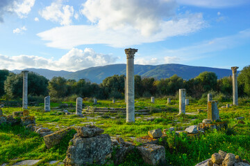 Roman ruins of the ancient city of Hippo, Annaba, Algeria