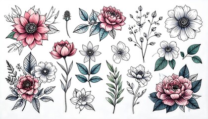 Botanical Illustrations: Pink & White Flowers, Leaves & Branches