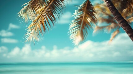 Tropical palm leaves beach