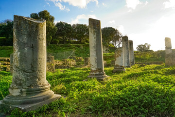 Roman ruins of the ancient city of Hippo, Annaba, Algeria