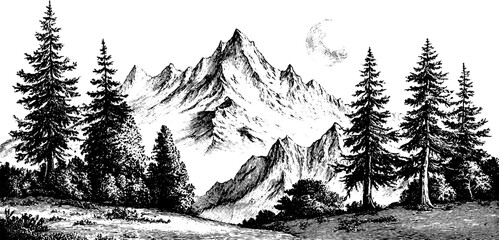 Vintage hand drawn mountain silhouettes with pine trees for retro design projects