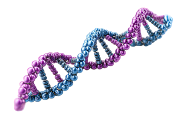 3D Illustration Of Double Helix DNA Structure