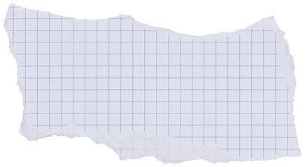 Ripped scrap of checkered white notebook page with black grid, isolated paper element for collage