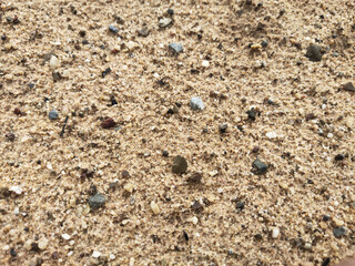 Coarse sand grain texture beige brown natural rough granular earth ground surface gently calm