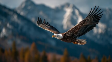 Majestic Eagle in Flight Against a Stunning Mountain Backdrop