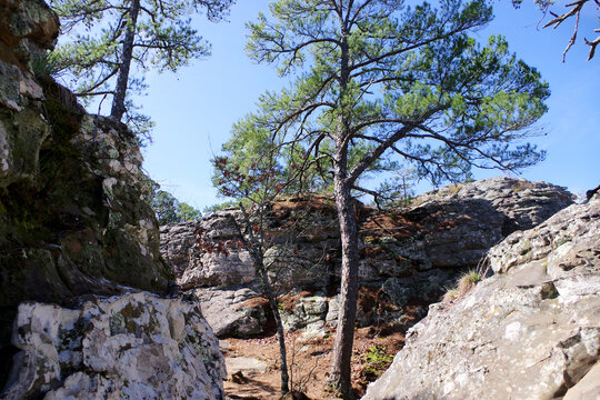 Rocky sandstone bluffs and pine trees under a clear blue sky at Petit Jean State Park, Arkansas&mdash;rugged trail scenery suited to travel, nature, and outdoor adventure uses.
