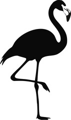 Obraz premium Flamingo Silhouette Vector – Standing Exotic Bird with Long Legs