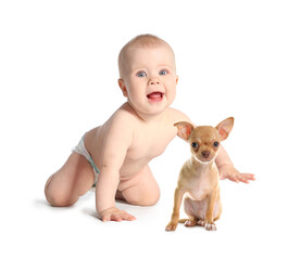 Cute child and dog on white background. First pet