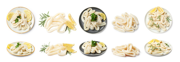 Squid rings isolated on white, set. Top and side view