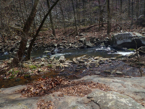 Rocky forest stream at Petit Jean State Park in Arkansas, surrounded by trees and early spring colors, a rugged outdoor nature landscape for travel and adventure themes.