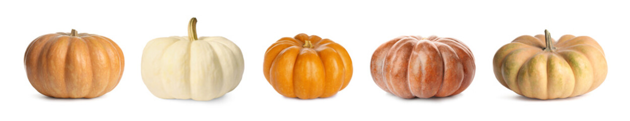 Fresh pumpkins isolated on white, set. Autumn vegetable