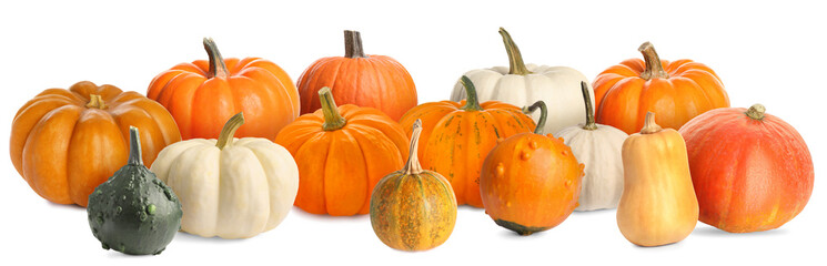 Many different fresh pumpkins isolated on white