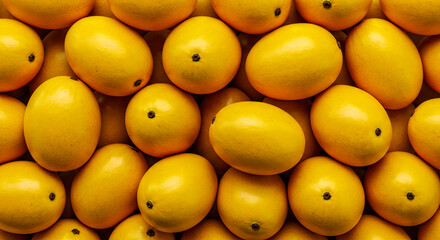 Mango Fruit Background
