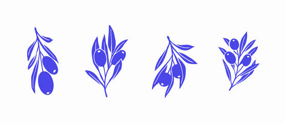 Clip Art of Olive Branch for olive oil logo or olive icon, hand drawn olive branch botanical herbs elements in vector format, floral olive frame and border   © kawacreative