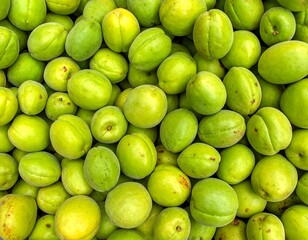 A close-up view of many green apricots