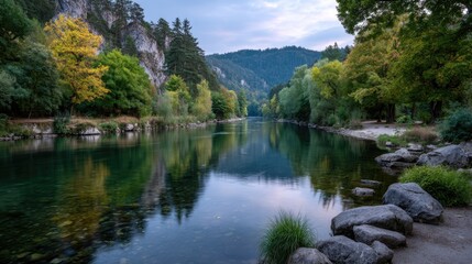 Scenic River Flowing Through Lush Green Forest at Sunset with Reflections on Water and Natural Beauty Landscape