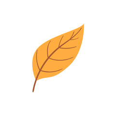 autumn leaf icon illustration on transparent background
