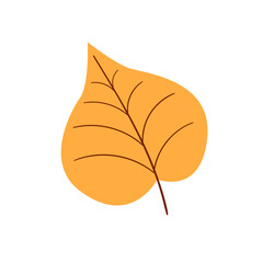 autumn leaf icon illustration on transparent background