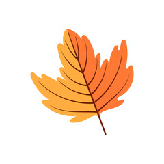 autumn leaf flat icon illustration on transparent background