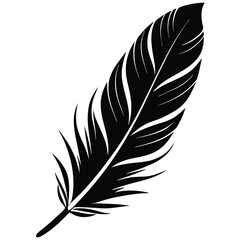 Obraz premium single feather isolated silhouette vector on white (1).eps