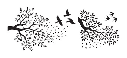 Fototapeta premium Black and White Forest Tree with Birds Design
