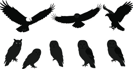 Vector illustration set of eagles and owls in flight and perched poses, wildlife bird silhouettes for decoration, logo, design, and educational projects