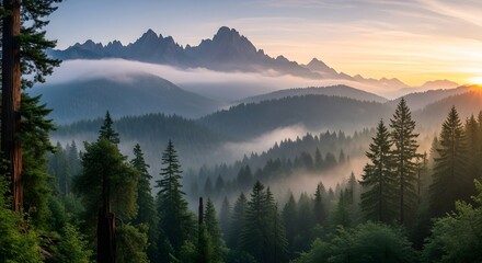 Obraz premium Misty Mountain Range Sunrise Over Pine Forest Layers Of Fog And Trees Majestic Nature Landscape