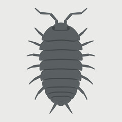 A simple illustration of a dark gray woodlouse insect on a light gray background.