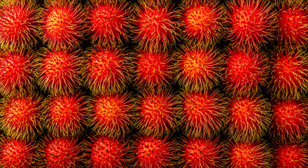 Rambutan Fruit Background