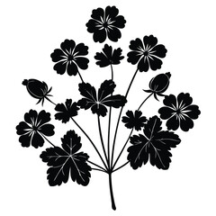 wild geranium plant flat silhouette vector on whit (1).eps