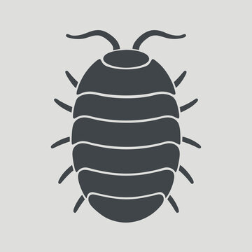 Stylized illustration of a dark grey woodlouse with segmented body and antennae.