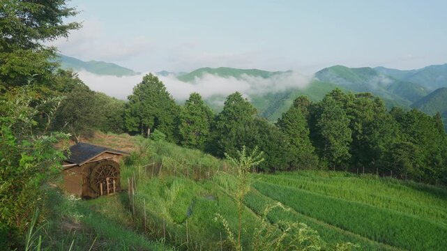 World Heritage Kumano Kodo Nakahechi &mdash; Misty Hinoki Fields and Waterwheel Cottage at Takahara, Tanabe, Wakayama, Japan　世界遺産・熊野古道中辺路「霧の里・高原の棚田と水車小屋」和歌山県田辺市
