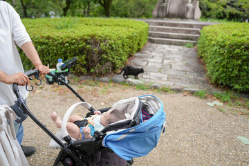 Obraz premium A baby is in a stroller and a cat is walking behind it. The baby is smiling and the cat is looking at the baby